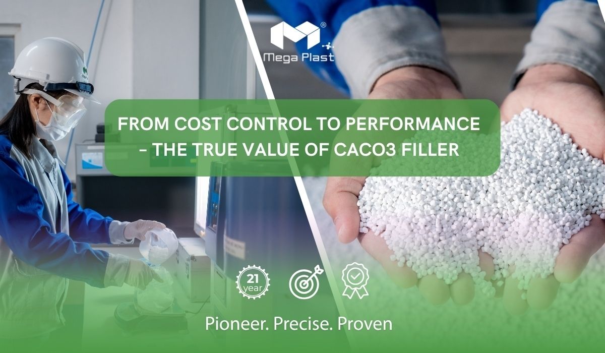 From Cost Control to Superior Performance: The True Value of CaCO3 Filler Masterbatch Cover