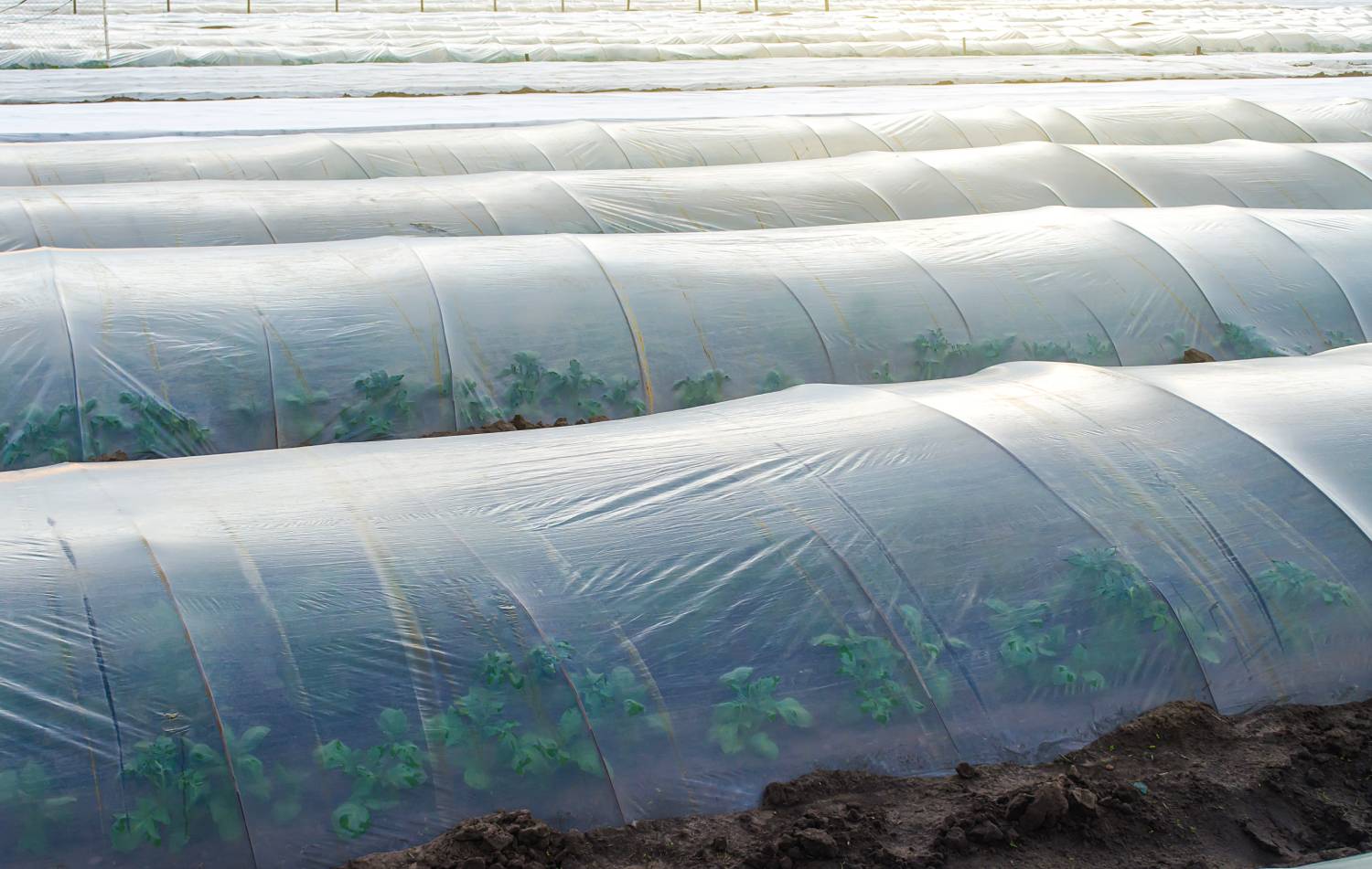 PA Filler Agriculture 1 F261 NH1024 1